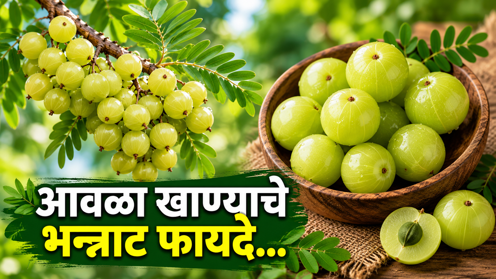 roj-amla-khanyache-fayde-health-benefits